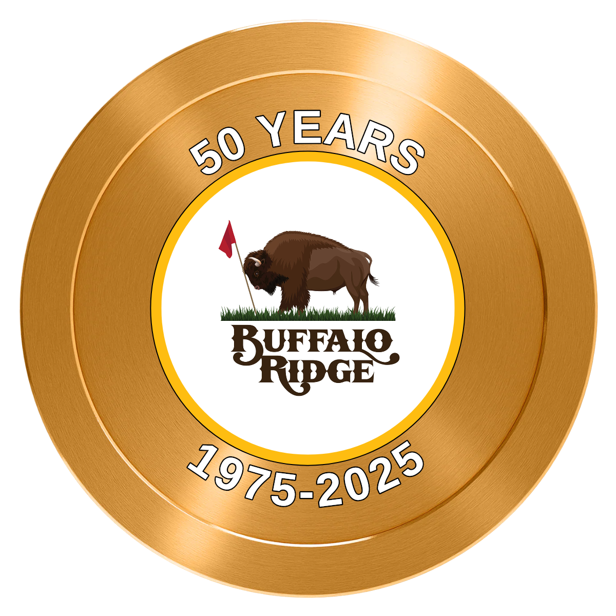 Branded Golf Pro Shop Aluminum Poker Chips - Gold - Front